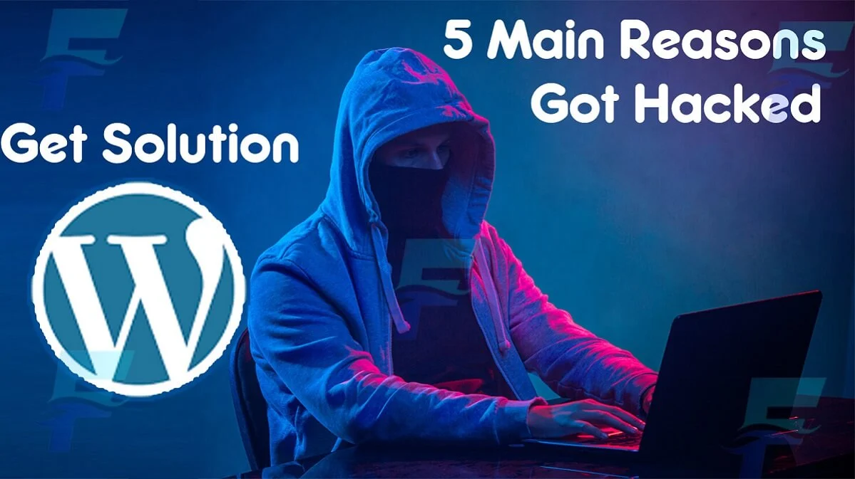 5-Main-Reasons-Why-WordPress-Sites-Get-Hacked-new